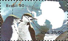 Chinstrap Penguin (Pygoscelis antarcticus)