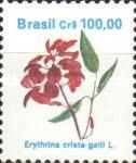 Cockspur Coral Tree (Erythrina crista-gali)