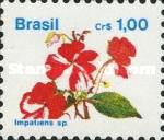 Impatiens sp.