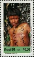 Yanomami Indian Culture