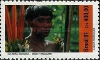 Yanomami Indian Culture