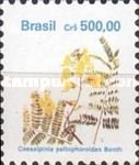 Caesalpinia peltophoroides
