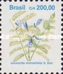 Jacaranda mimosifolia