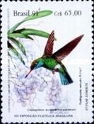 Glittering-bellied Emerald (Chlorostilbon aureoventris puche