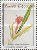 Atlantic forest protection, Canistrum exiguum