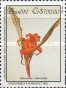 Atlantic forest protection, Nidularium rubens