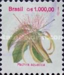 Pachira aquatica