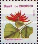 Erythrina speciosa