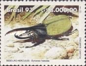 Hercules Beetle (Dynastes hercules)