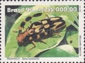Longhorn Beetle (Batus barbicornis)