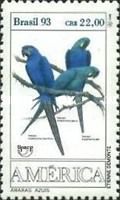 Hyacinth Macaw (Anodorhynchus hyacinthinus)