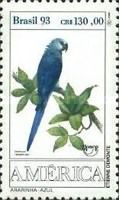 Spix's Macaw (Cyanopsitta spixii)