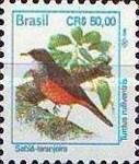 Rufous-bellied Thrush (Turdus rufiventris)