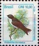 Blue-and-white Swallow (Notiochelidon cyanoleuca) 