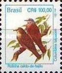 Ruddy Ground-Dove (Columbina talpacoti)