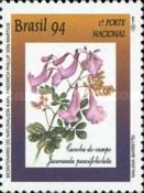 Caroba (Jacaranda paucifoliolata)