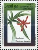 Barbacena (Barbacenia tomentosa)
