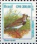 Southern Lapwing (Vanellus chilensis)