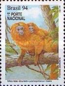 Golden Lion Tamarin (Leontopithecus rosalia)
