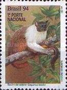 Pied Tamarin (Saguinus bicolor)