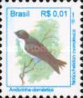 Blue-and-white Swallow (Notiochelidon cyanoleuca)