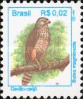 Roadside Hawk (Buteo magnirostris)