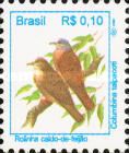 Ruddy Ground-Dove (Columbina talpacoti)