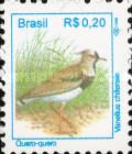 Southern Lapwing (Vanellus chilensis)