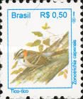 Rufous-collared Sparrow (Zonotrichia capensis)