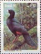 Alagoas Curassow (Mitu mitu)