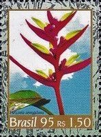 Heliconia aemygdiana