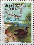 Great Egret (Ardea alba), Horned Screamer (Anhima cornuta)