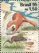 Giant Otter (Pteronura brasiliensis), White-faced Ibis