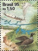 Great Egret (Ardea alba), Horned Screamer (Anhima cornuta)