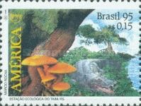 Broad-snouted Caiman (Caiman latirostris), Mushroom, Ficus