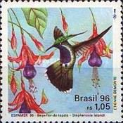 Green-crowned Plovercrest (Stephanoxis lalandi)