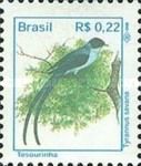 Fork-tailed Flycatcher (Tyrannus savana)