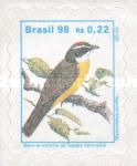 Social Flycatcher (Myiozetetes similis)