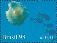 Submarine, Fish