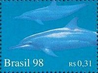 Dolphin