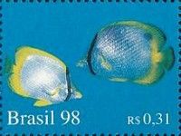 Butterflyfish