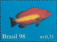 Grouper