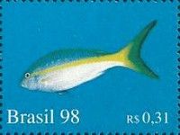 Wrasse