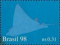 Ray