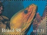 Moray