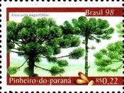 Pinheiro