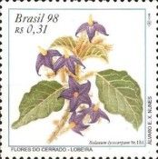Wolf-apple (Solanum lycocarpum)