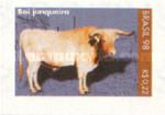 Junqueir Cattle (Bos primigenius taurus)