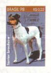 Terrier Brasileiro (Canis lupus familiaris)