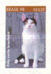 Brazilian Short-haired Cat (Felis silvestris catus)